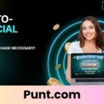 Punt.com